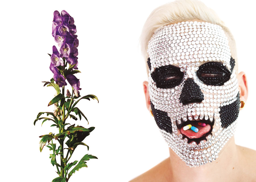 artpop-2